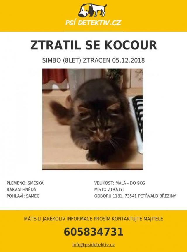 ztratil se kocour