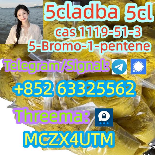 5-Bromo-1-pentene CAS 1119-51-3