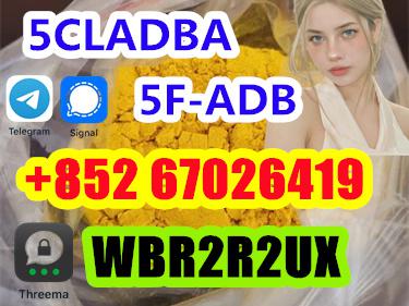 High quality 5CLADBA, 5CL-ADB-A , 5cl, 4FADB, 5cladba main ingredients With best Vendor price!