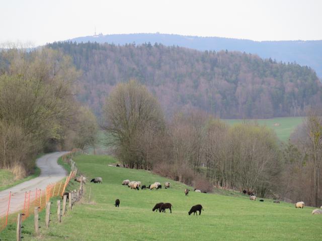 Valask krajina