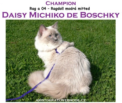 Daisy Michiko de Boschky: 