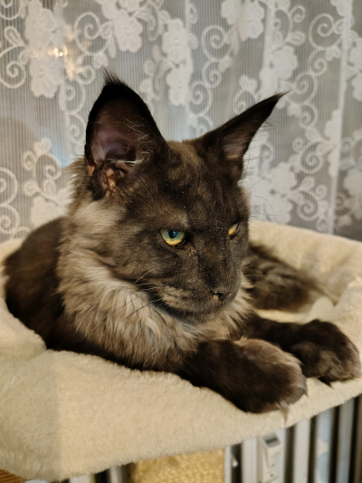 Neville: To jsem j� :-)