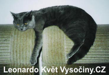 Leonardo Kvt Vysoiny*CZ: Nudm se...