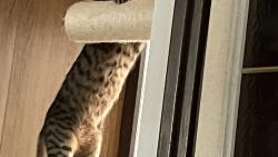 Trénuju, chci mít tělo samý sval :-)