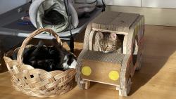 Pohodov� odpoledne ☺