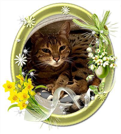 Kr�sn� jaro p�eji 😘