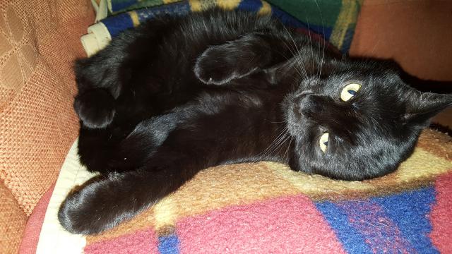 Fotka u koment��e