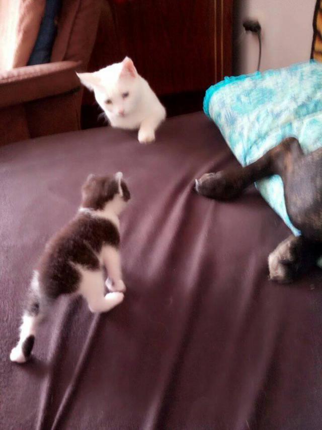 Fotka u koment��e