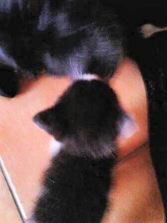 Fotka u koment��e