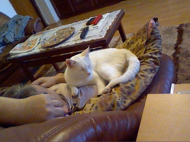 Fotka u koment��e