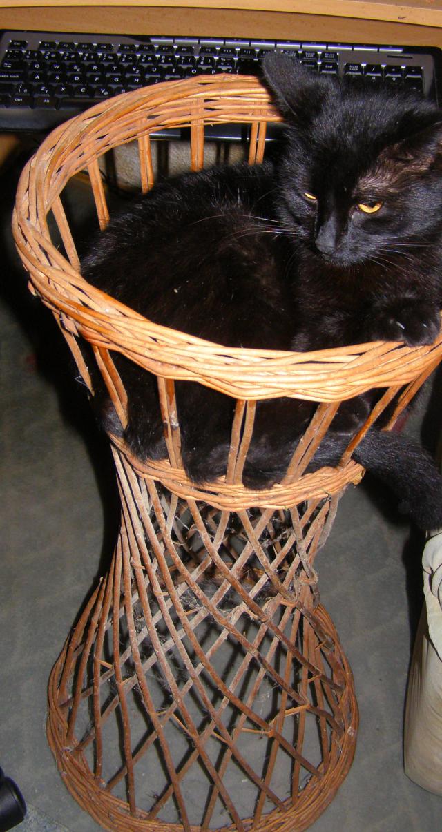 Fotka u koment��e