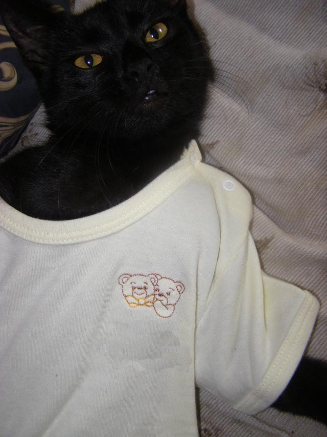 Fotka u koment��e