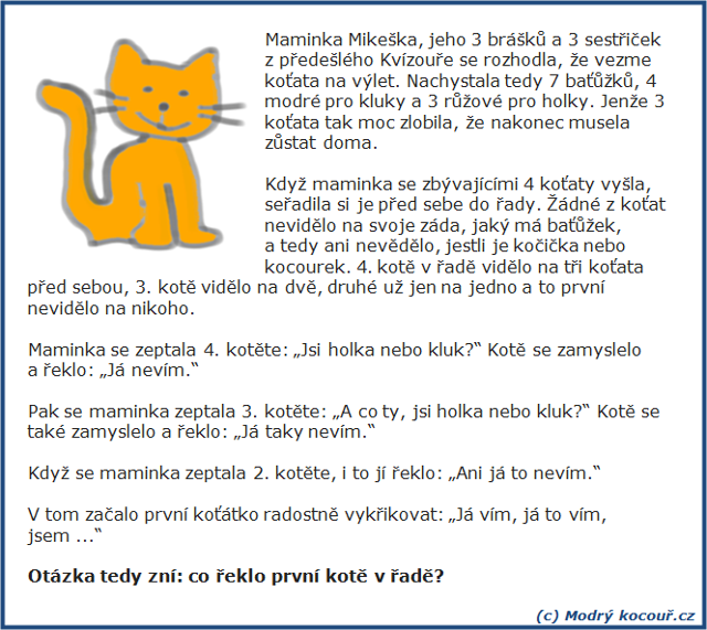 Kvízouř 12: Kočička nebo kocourek?