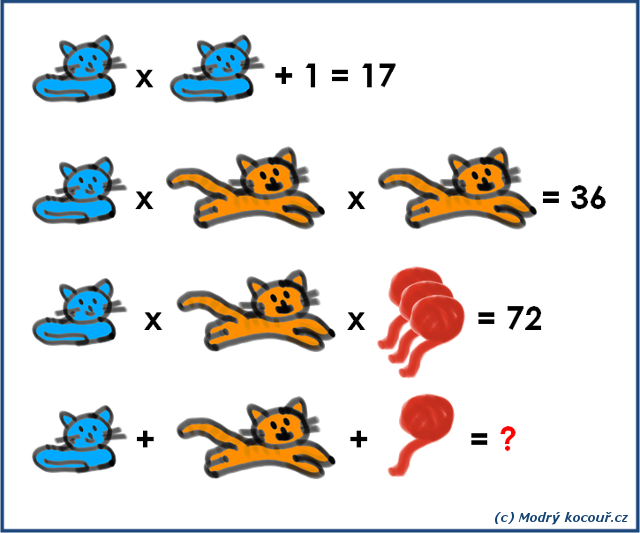 Kvízouř 14: Kočičí matematika