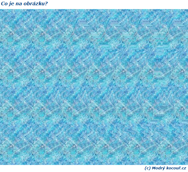 Kvízouř 19: Co je na obrázku?