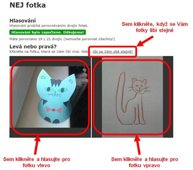 Hlasov�n� v&nbsp;sout�i NEJ fotka