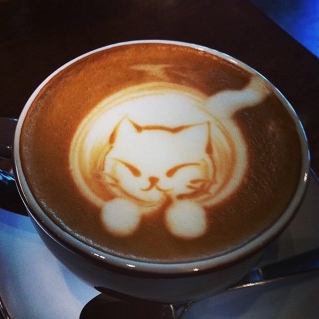 Koi latte art