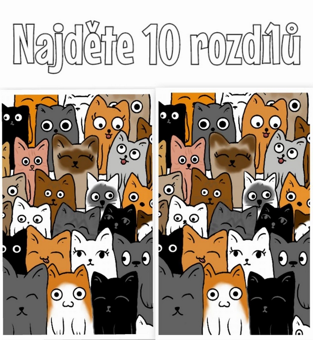 Najdte 10 rozdl