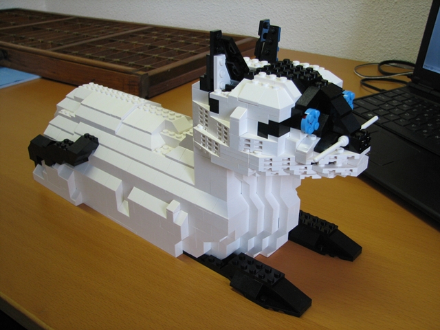 Lego koka