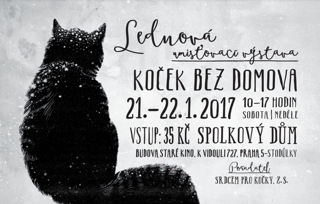 Lednov umisovac vstava koek bez domova Srdcem pro koky, z. s., 21. a 22. ledna 2017