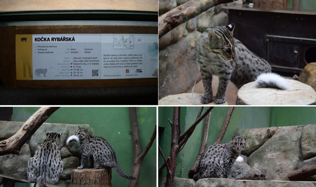 Vlet do ZOO Praha