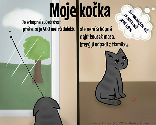 Komiks Creepy koky: Koi zamen. Modr kocou.cz